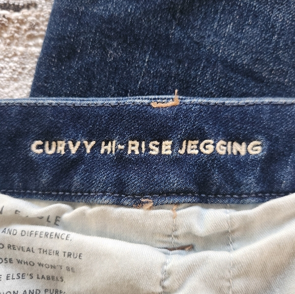 American Eagle Curvy Hi Rise Jegging - Picture 4 of 5